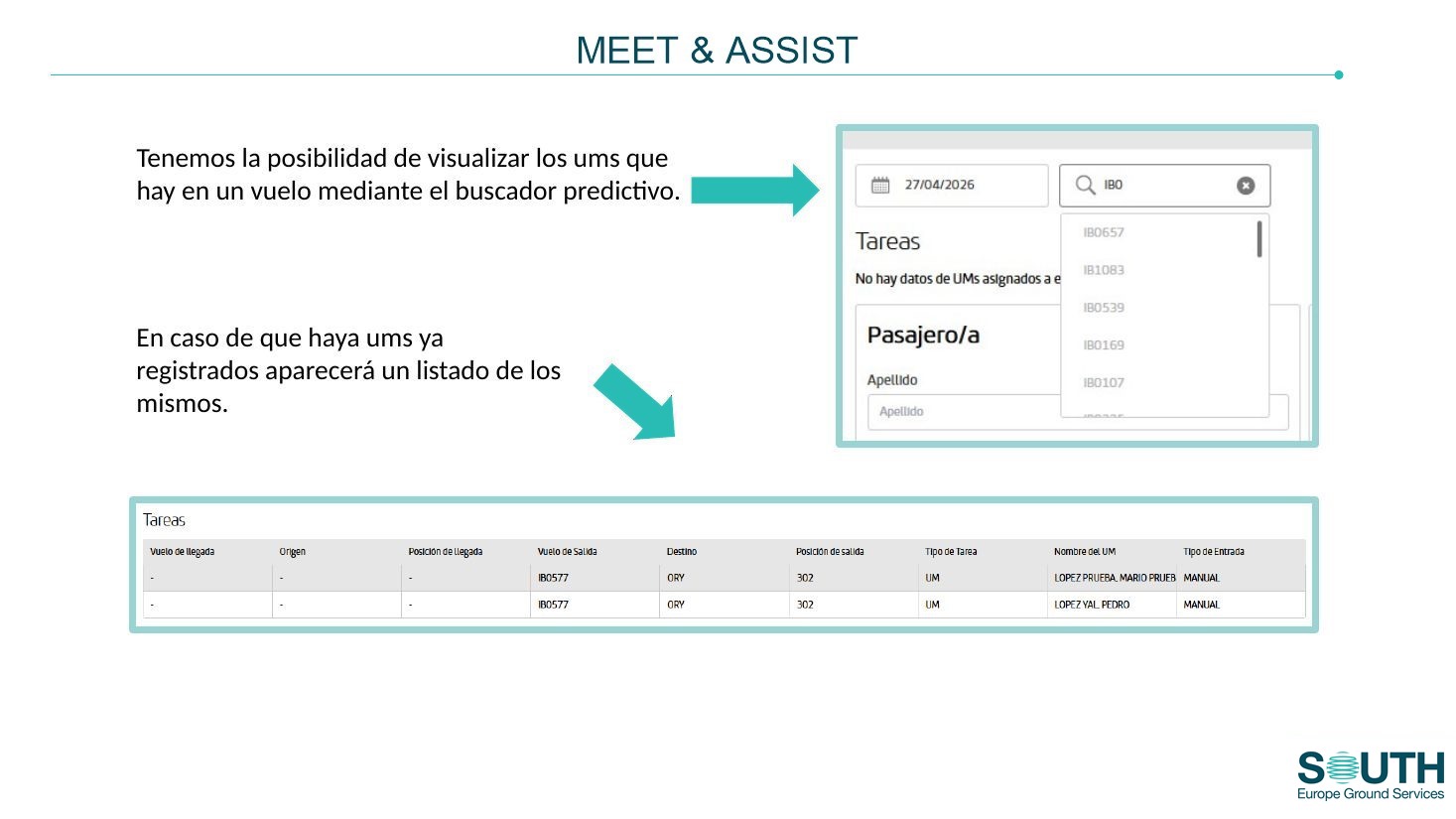 Búsqueda de vuelo y servicios registrados